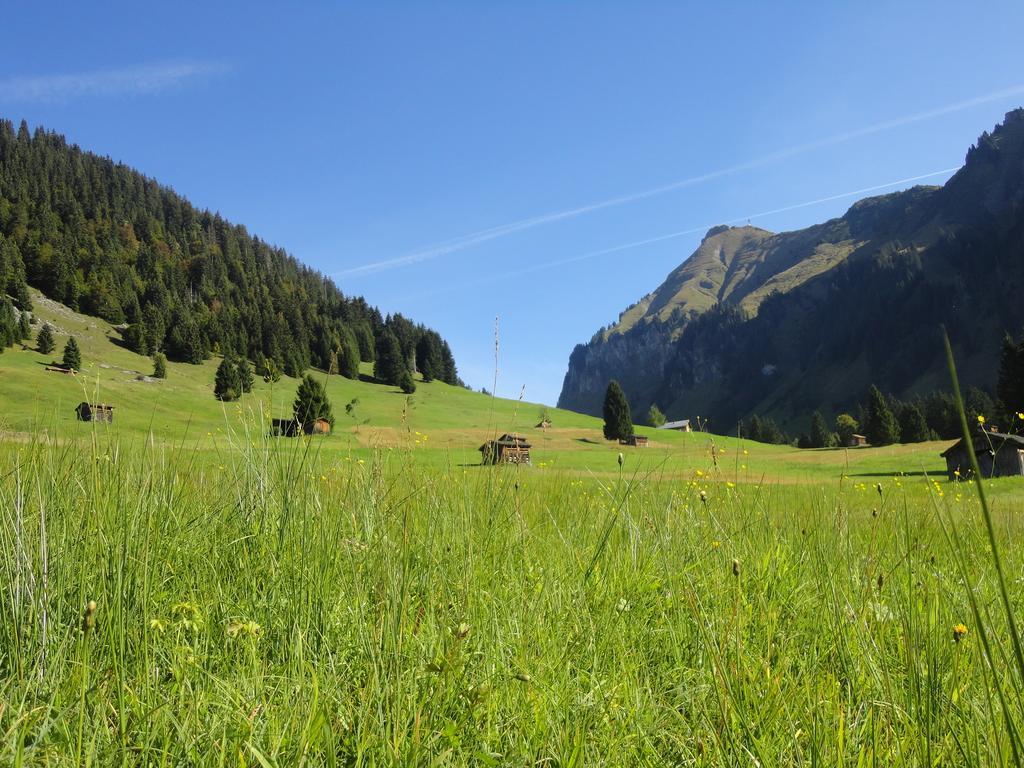 Hotel Haus Alpina Au (Vorarlberg) Exterior foto